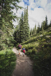 Father and son holding hands as they hike through path in the forest. - CAVF65673