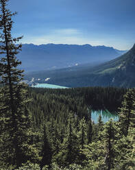 Blick auf Seen, Wälder und Berge in Banff von hoch oben. - CAVF65675