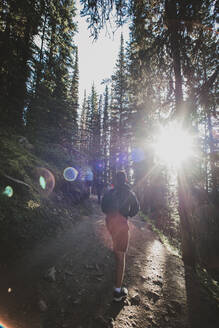 Ein Jugendlicher wandert auf einem sonnenbeschienenen Pfad im Wald in den Rocky Mountains. - CAVF65677