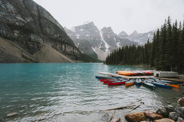 Bunte Kanus am Steg des Moraine Lake mit Bergen im Hintergrund. - CAVF65680