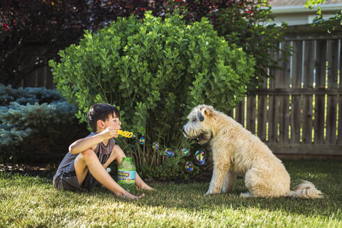 Ein kleiner Junge bläst an einem Sommertag im Hinterhof Seifenblasen für seinen Hund. - CAVF65693