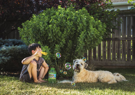 Ein kleiner Junge bläst an einem Sommertag im Hinterhof Seifenblasen für seinen Hund. - CAVF65695