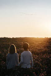Two kids standing on a clover field watching birds in the sunset - EYAF00619