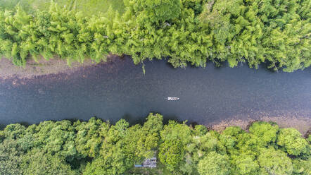 Luftaufnahme der Schifffahrt im Rio de la Miel, Kolumbien, beim Durchqueren des Regenwaldes - AAEF04487