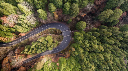 Aerial view of a road crossing a Japanease forest, Japan, Asia. - AAEF04488