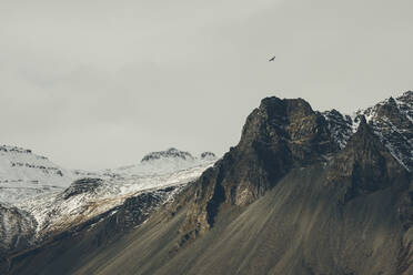 A bird flies alone above the mountains of Snæfellsnesvegur, in western Iceland. - AAEF04614