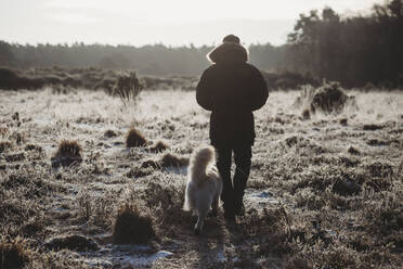 Rear view of man walking dog on heathland on a cold frosty morning - CAVF65737