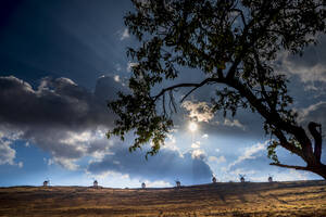 Windmills of Don Quijote in La Mancha_Spain - CAVF65741