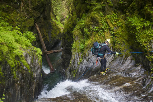 Mann beim Abseilen neben einem Wasserfall im Frost Creek Canyon. - CAVF65776