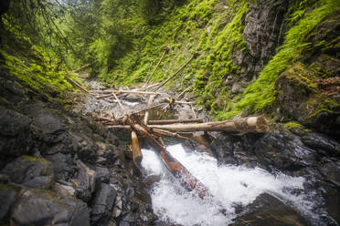 Blick auf einen Wasserfall voller umgestürzter Bäume. - CAVF65795