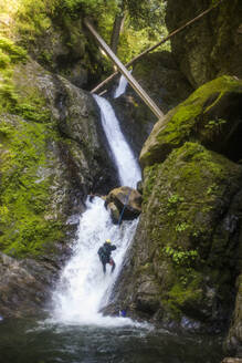 Ein Mann seilt sich an einer Reihe von Wasserfällen im Frost Creek Canyon ab. - CAVF65802