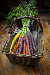 Wicker basket with bundle of fresh colorful carrots - LVF08368