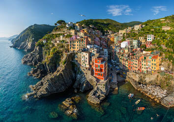 Aerial view of bird flying over Vernazza, Italy - AAEF05053