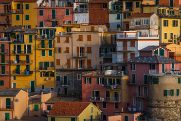 Luftaufnahme der bunten Häuser in Manarola, Italien - AAEF05087