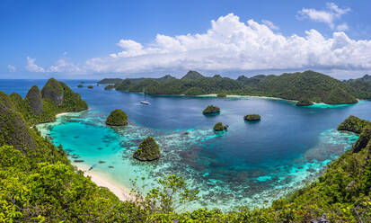 Luftaufnahme der Bucht von Raja Ampat, Indonesien - AAEF05105