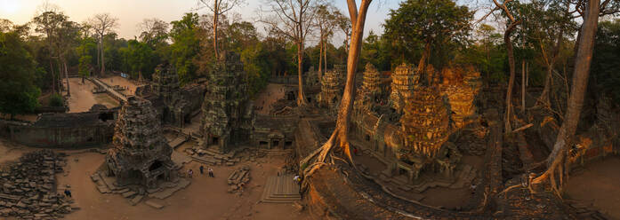 Luftaufnahme des Ta-Prohm-Tempels, Angkor, Kambodscha - AAEF05217