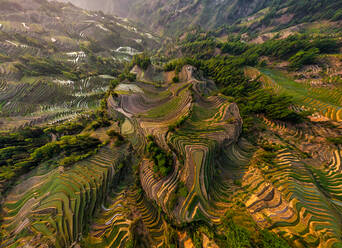 Luftaufnahme der Yuanyang Hani Reisterrassen, China - AAEF05293