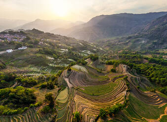 Aerial view of the Yuanyang Hani Rice Terraces, China - AAEF05294