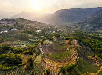 Luftaufnahme der Yuanyang Hani Reisterrassen, China - AAEF05294