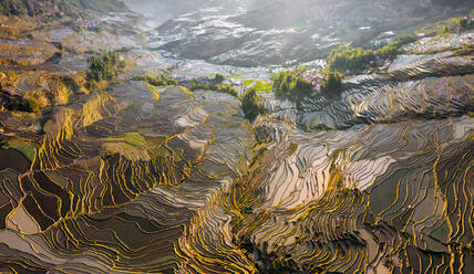 Aerial view of the Yuanyang Hani Rice Terraces, China - AAEF05296