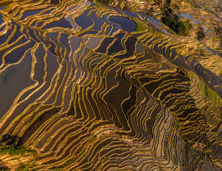 Aerial view of the Yuanyang Hani Rice Terraces, China - AAEF05297