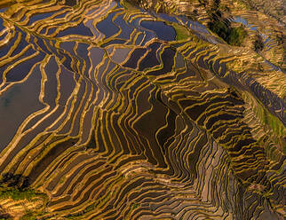 Luftaufnahme der Yuanyang Hani Reisterrassen, China - AAEF05297