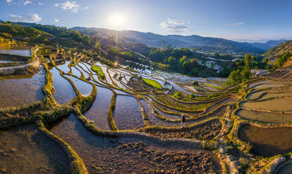 Panoramic aerial view of the Yuanyang Hani Rice Terraces, China - AAEF05300