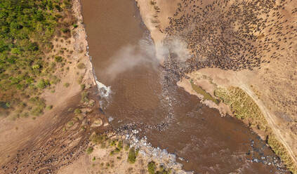 Luftaufnahme einer Herde von Bullen, die den Fluss überqueren, Maasai Mara National Reserve, Kenia - AAEF05350