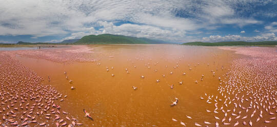 Luftaufnahme von Flamingos am Bogoria-See, Kenia - AAEF05381