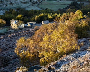 Bauernhaus und Silberbirke an einem frostigen Herbstmorgen, Peak District National Park, Derbyshire, England, Vereinigtes Königreich, Europa - RHPLF12301
