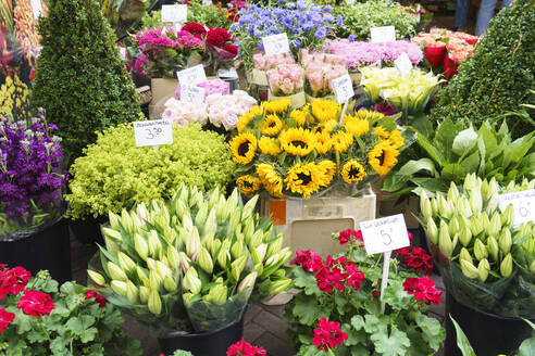 Blumen zum Verkauf auf dem Bloemenmarkt (Blumenmarkt), Amsterdam, Nordholland, Die Niederlande, Europa - RHPLF12313