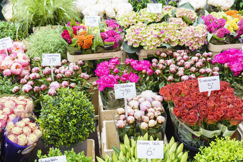 Blumen zum Verkauf auf dem Bloemenmarkt (Blumenmarkt), Amsterdam, Nordholland, Die Niederlande, Europa - RHPLF12314