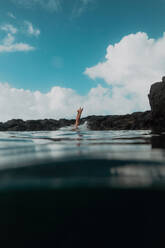 Swimmer diving off rocks into sea, Princeville, Hawaii, US - ISF22505