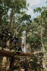 Frau läuft auf einem Baumstamm im Regenwald, Princeville, Hawaii, USA - ISF22552