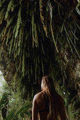 Frau bewundert Regenwald, Princeville, Hawaii, USA - ISF22556