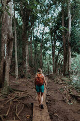 Frau genießt Spaziergang im Regenwald, Princeville, Hawaii, USA - ISF22618