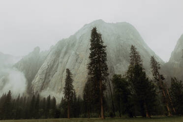 Nebel über Bergen und Wald, Yosemite National Park, Kalifornien, Vereinigte Staaten - ISF22679