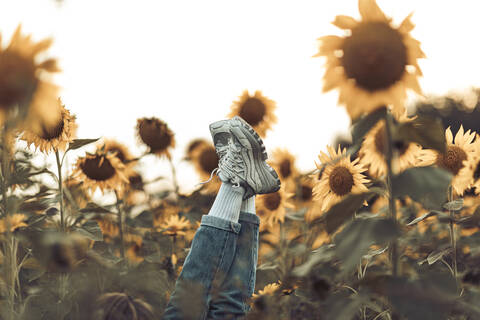 Schuhe in einem Sonnenblumenfeld, lizenzfreies Stockfoto