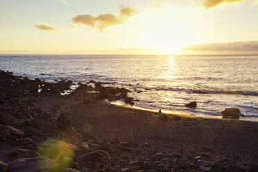 Valle Gran Grey, La Gomera, Kanarische Inseln, Spanien - MAMF00919