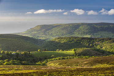 View from Dunkery Hill in spring, Exmoor National Park, Somerset, England, United Kingdom, Europe - RHPLF12450