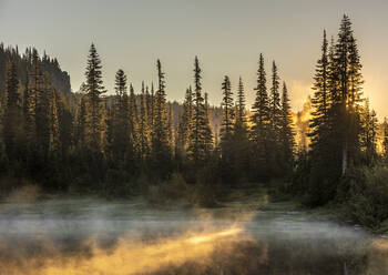 Morgendliches Sonnenlicht und Nebel, Reflection Lake, Mount Rainier National Park, Washington State, Vereinigte Staaten von Amerika, Nordamerika - RHPLF12465