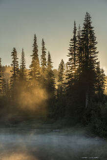 Morgendliches Sonnenlicht und Nebel, Reflection Lake, Mount Rainier National Park, Washington State, Vereinigte Staaten von Amerika, Nordamerika - RHPLF12473