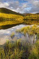 Spiegelung im See, Herbstfarbe, Senja, Norwegen, Skandinavien, Europa - RHPLF12508