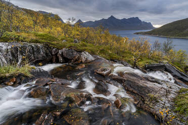 Wasserfall und Herbstfarben im Anderdalen-Nationalpark, Senja, Norwegen, Skandinavien, Europa - RHPLF12528