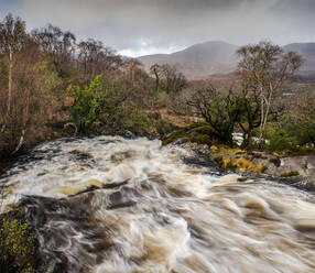 Überlaufender Fluss, Killarney National Park, Grafschaft Kerry, Munster, Republik Irland, Europa - RHPLF12561