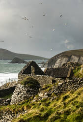 Verlassenes Bauernhofgebäude, Dingle-Halbinsel, Grafschaft Kerry, Munster, Republik Irland, Europa - RHPLF12577