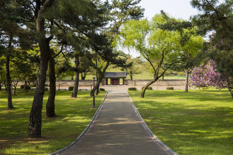 Daereungwon-Grabanlage, Gyeongju, Südkorea, lizenzfreies Stockfoto