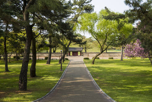 Daereungwon-Grabanlage, Gyeongju, Südkorea - GEMF03232