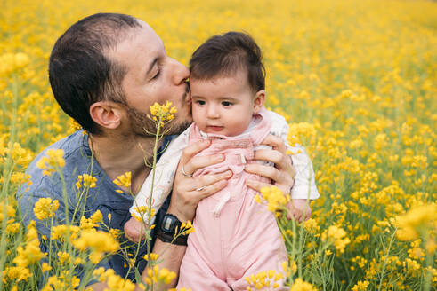 Porträt eines kleinen Mädchens, das von seinem Vater in einem Rapsfeld geküsst wird - GEMF03241