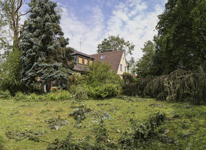 Sturmschäden in einem Garten eines Einfamilienhauses - MAMF00922